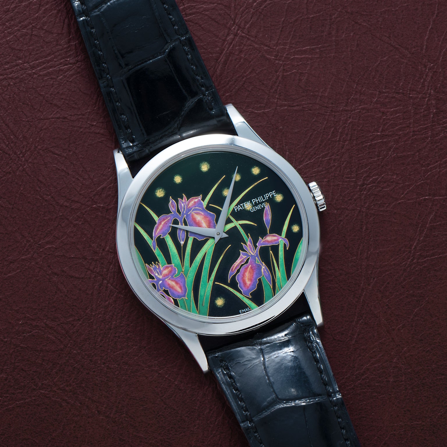 The Patek Philippe Calatrava Cloisonné Iris & Night Fireflies silver watch with a black leather strap and a vibrant floral dial is displayed on a maroon surface.