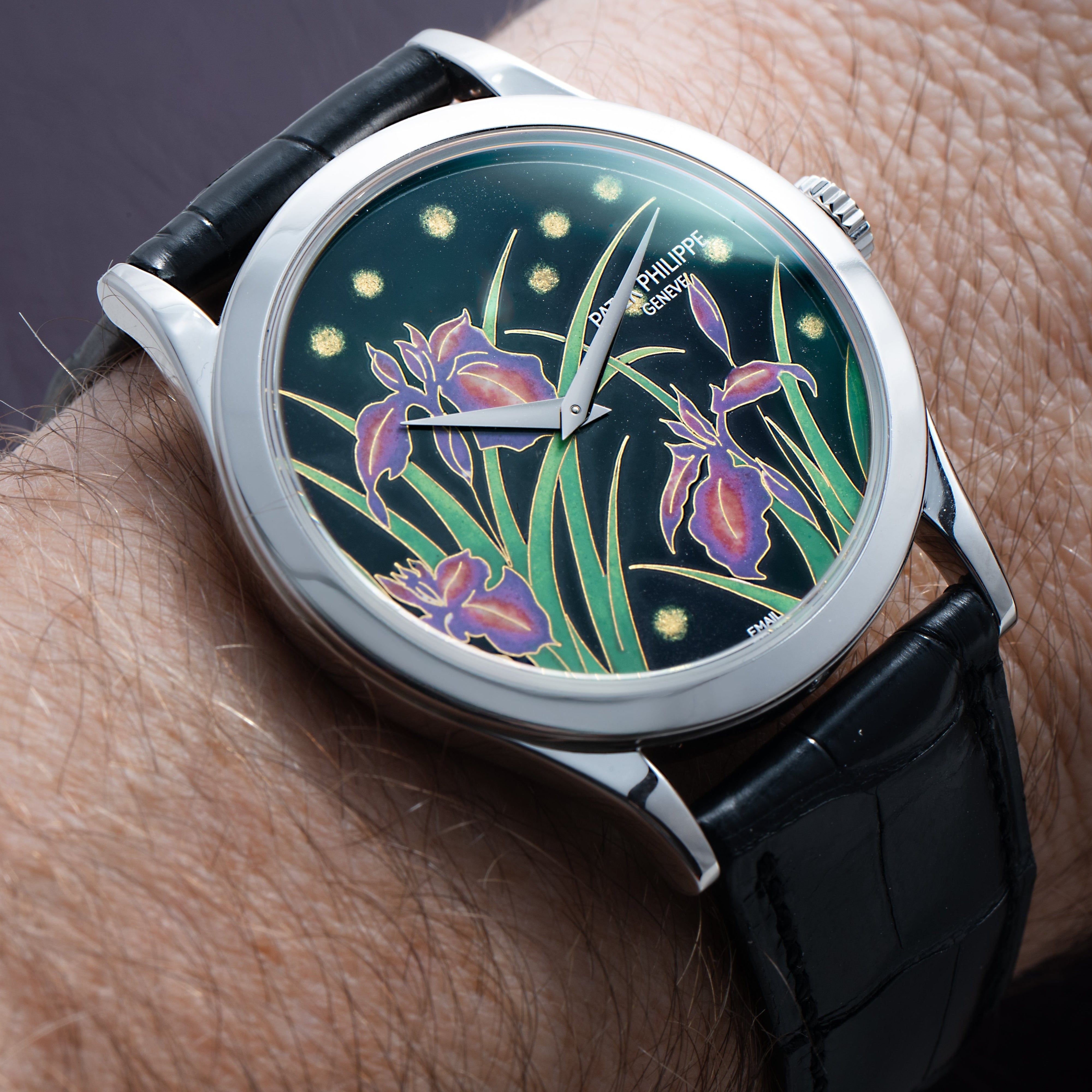 The Patek Philippe Calatrava Cloisonné Iris & Night Fireflies wristwatch features a floral dial with purple irises and yellow dots, complemented by a black leather strap.