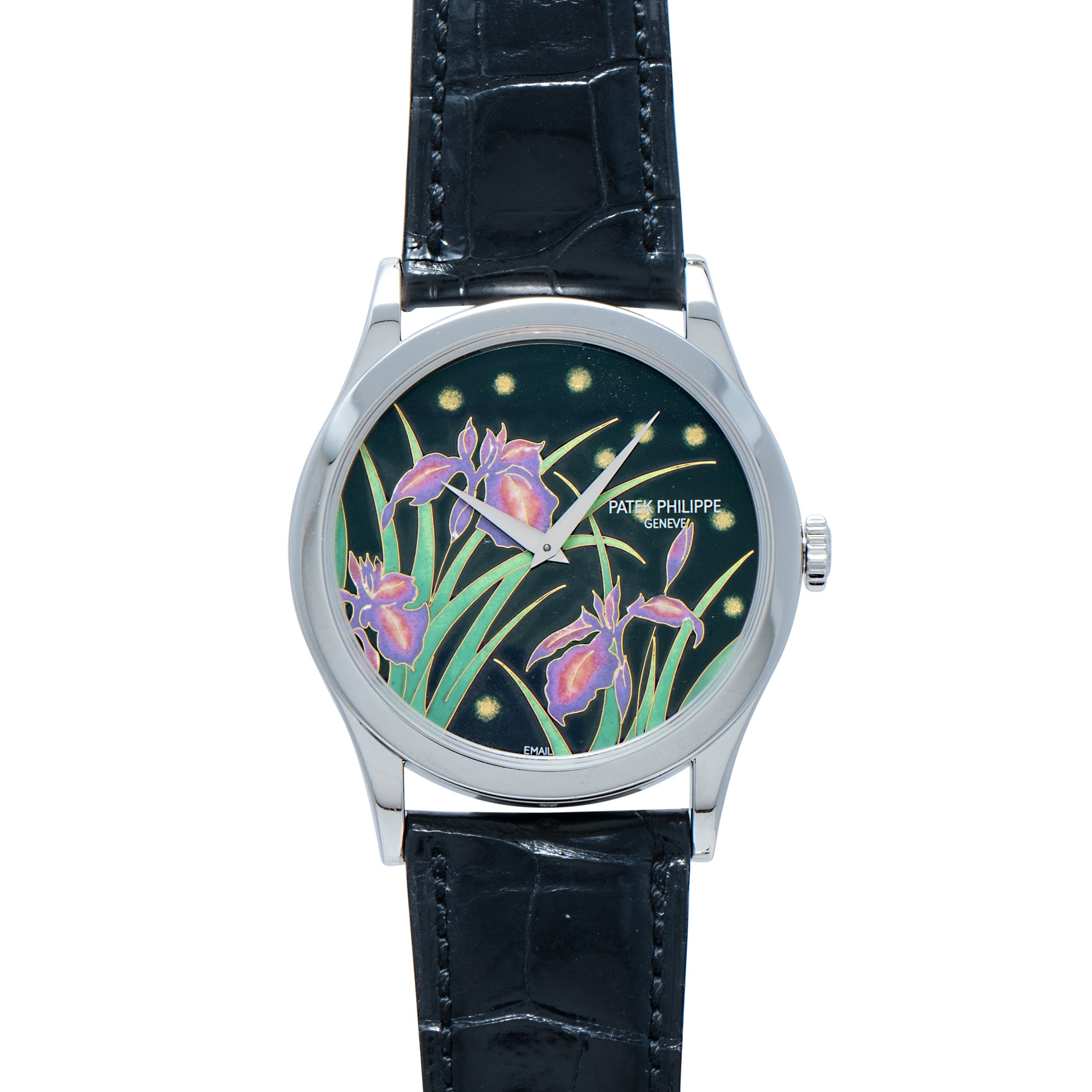 The Patek Philippe Calatrava Cloisonné Iris & Night Fireflies is a silver watch with a black leather strap and a dial adorned with purple irises and green leaves on a dark background.