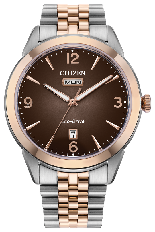 Citizen Rolan Steel 41 mm Eco Drive