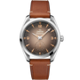OMEGA Seamaster Railmaster Brown Dial Leather Strap