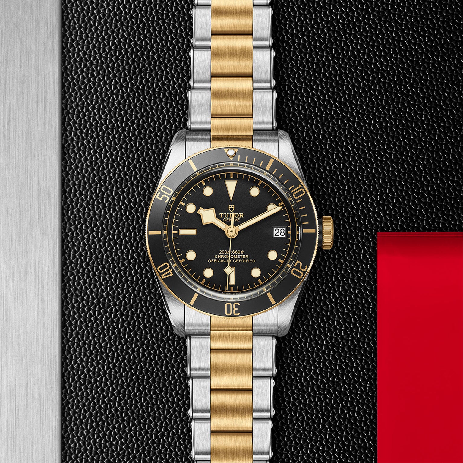 The TUDOR Black Bay S&G is a two-tone stainless steel and gold diving watch with a black bezel and dial, self-winding movement, displayed on a textured black and metallic background with a bold red accent.