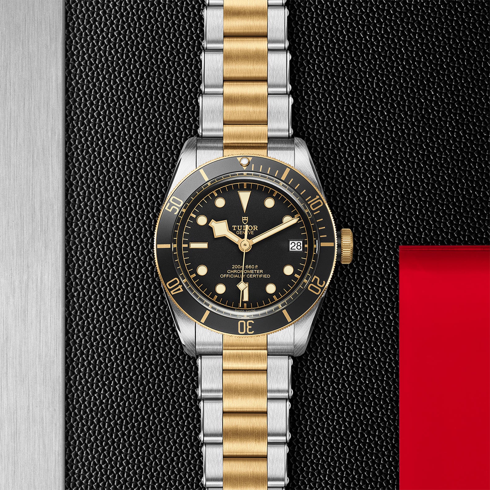 The TUDOR Black Bay S&G is a two-tone stainless steel and gold diving watch with a black bezel and dial, self-winding movement, displayed on a textured black and metallic background with a bold red accent.