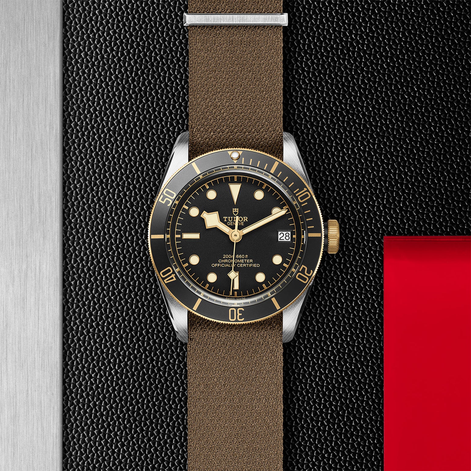 The TUDOR Black Bay S&G, featuring a brown strap, black dial, gold accents, and date display, rests on a textured black and metallic surface with a red detail, showcasing the timeless style of TUDOR diving watches.