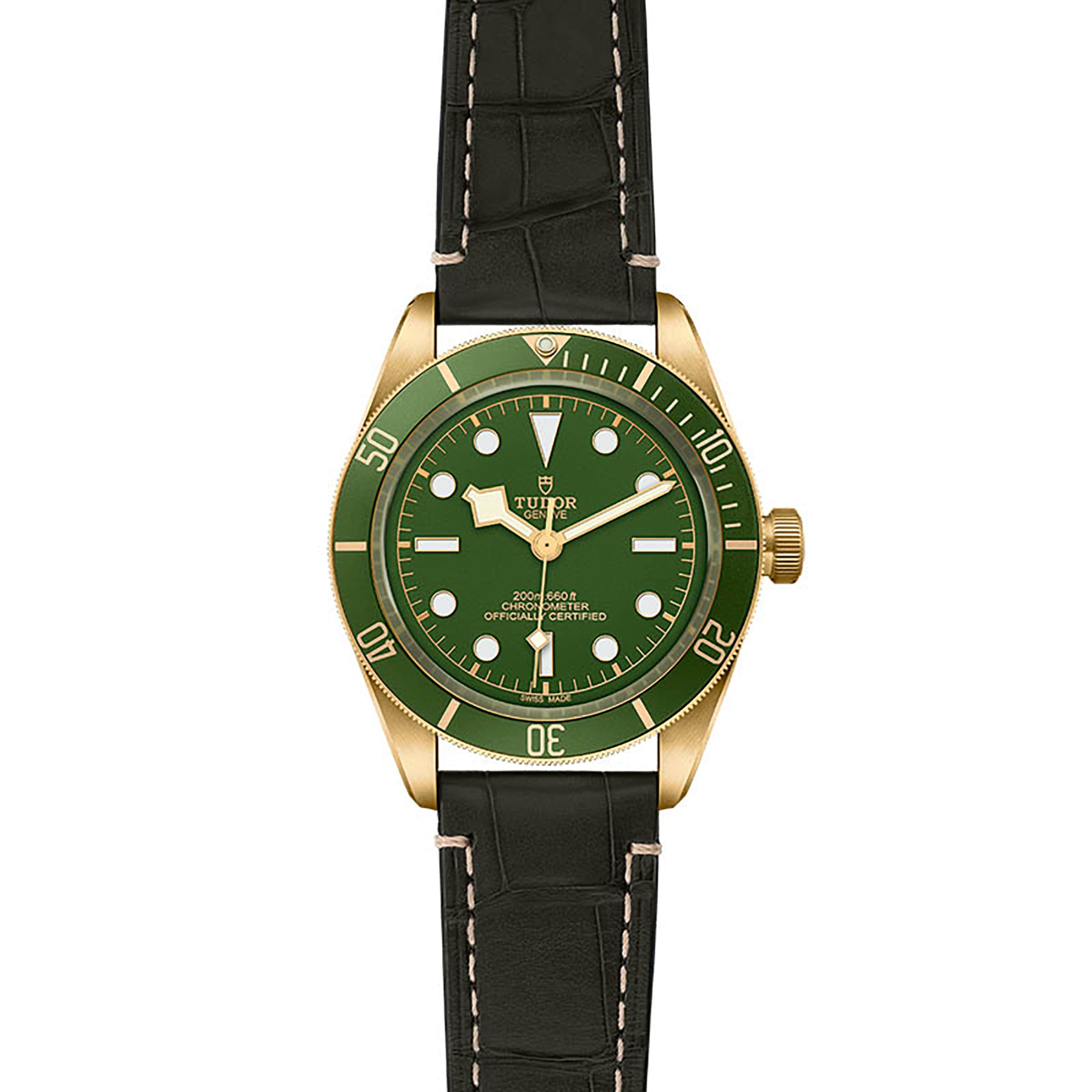 The TUDOR Black Bay 58 18K is a green and gold divers watch with a black leather strap, rotating bezel, and three hands, shown against a white background.