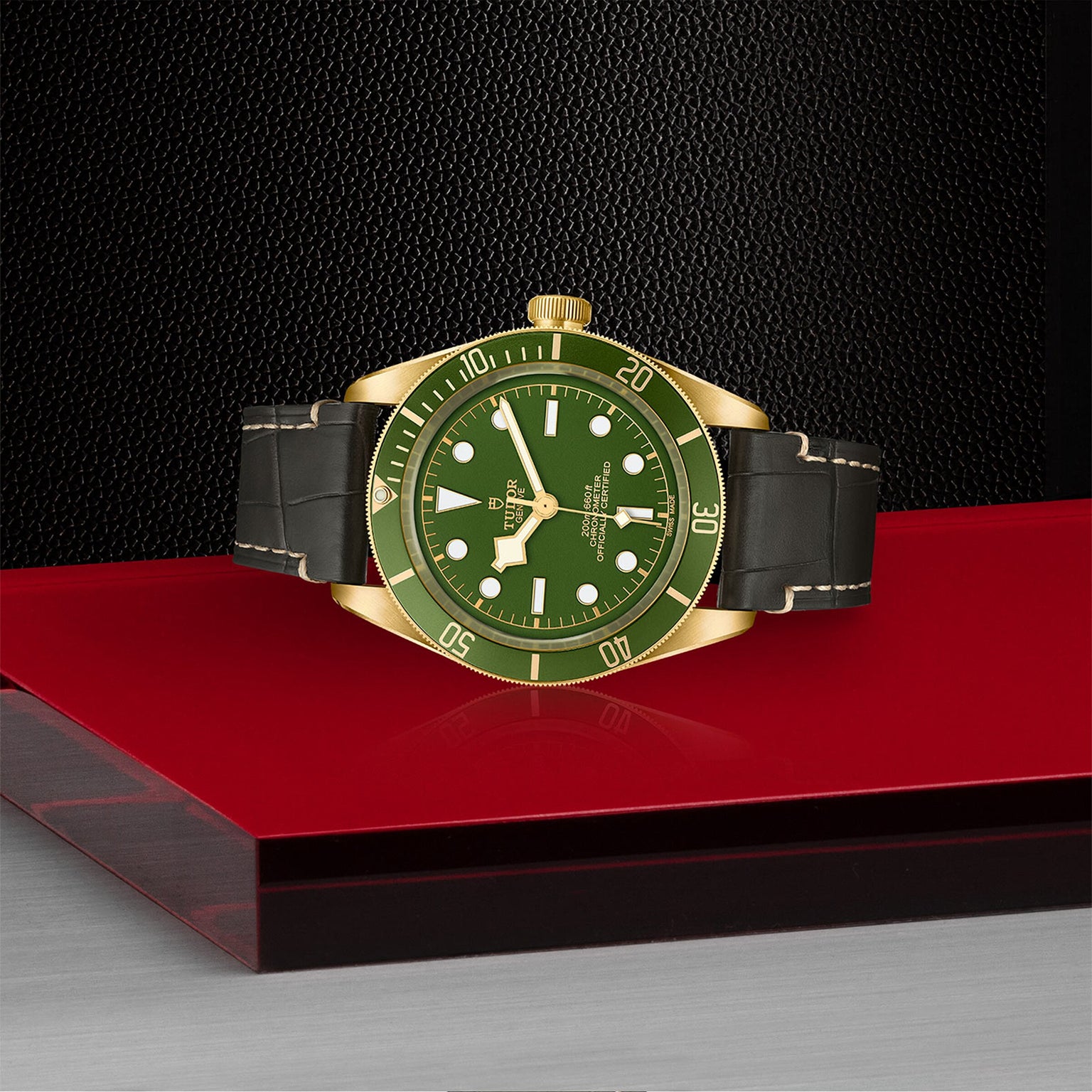The TUDOR Black Bay 58 18K dive watch in gold and green with a black strap rests on a red and gray geometric surface, set against a textured black background.