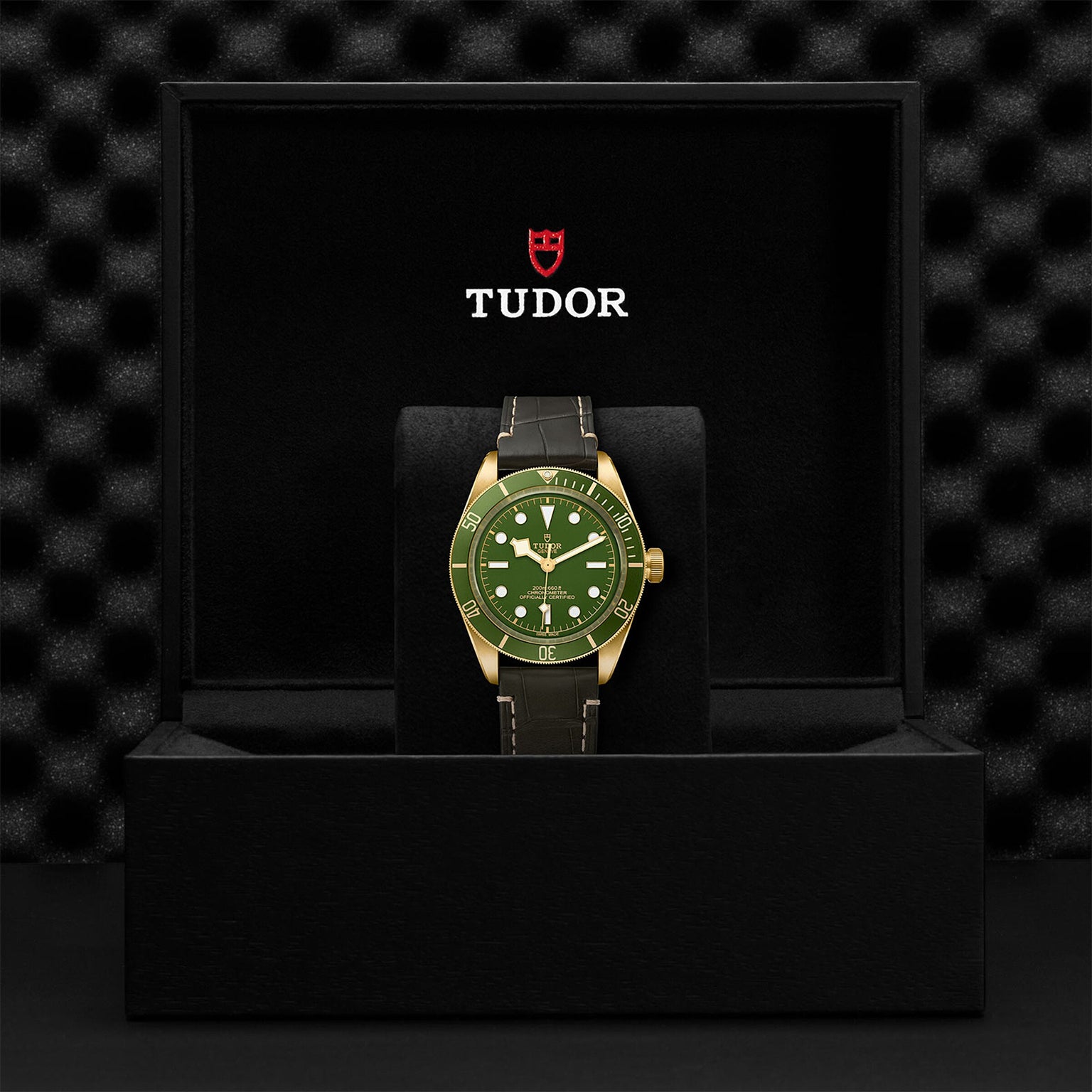 A TUDOR Black Bay 58 18K wristwatch with a green dial, gold bezel, and black strap is displayed upright in an open black box showing the TUDOR logo and crest on the inside lid.