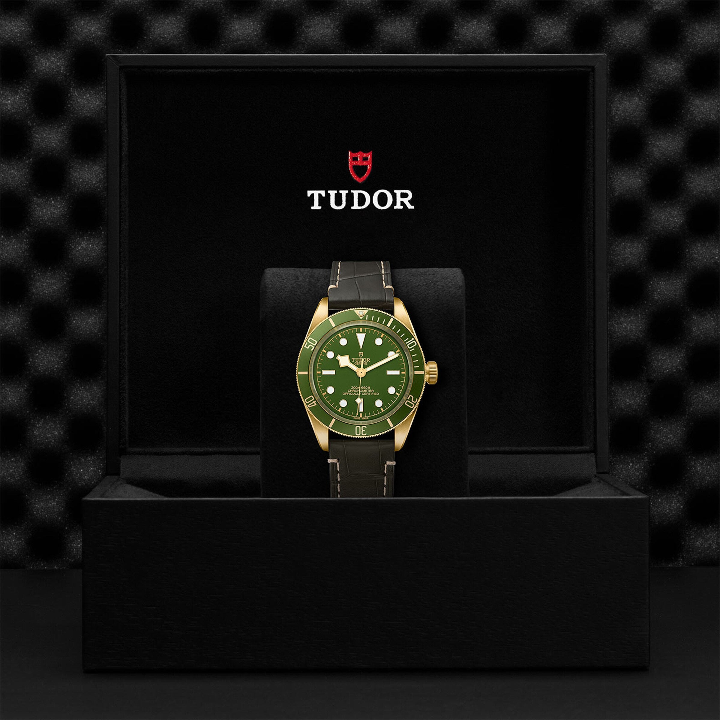 A TUDOR Black Bay 58 18K wristwatch with a green dial, gold bezel, and black strap is displayed upright in an open black box showing the TUDOR logo and crest on the inside lid.