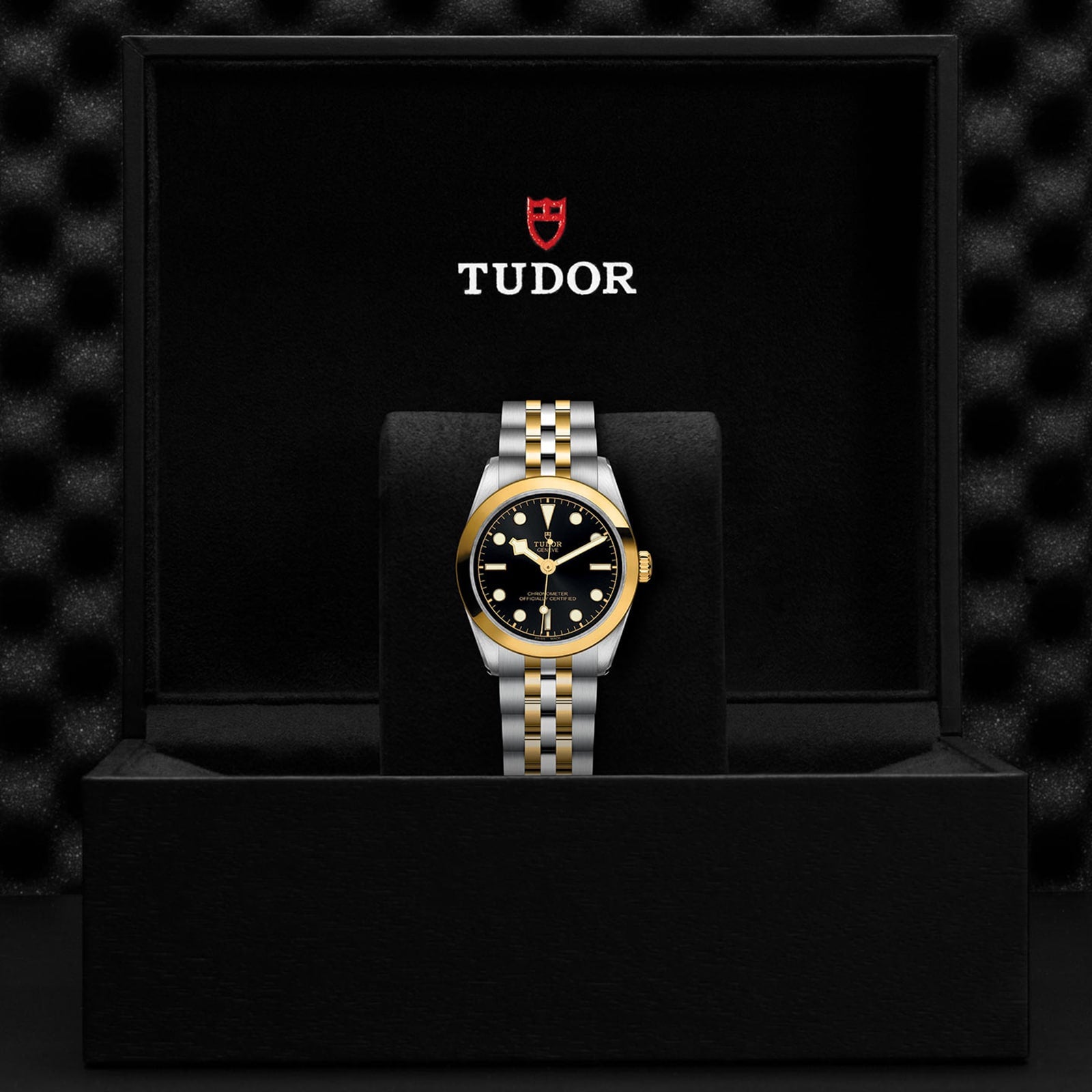 A TUDOR Black Bay One 31 S&G wristwatch with a two-tone metal band and black dial is showcased in an open black TUDOR box bearing the brand logo inside the lid—a striking example of TUDOR design.