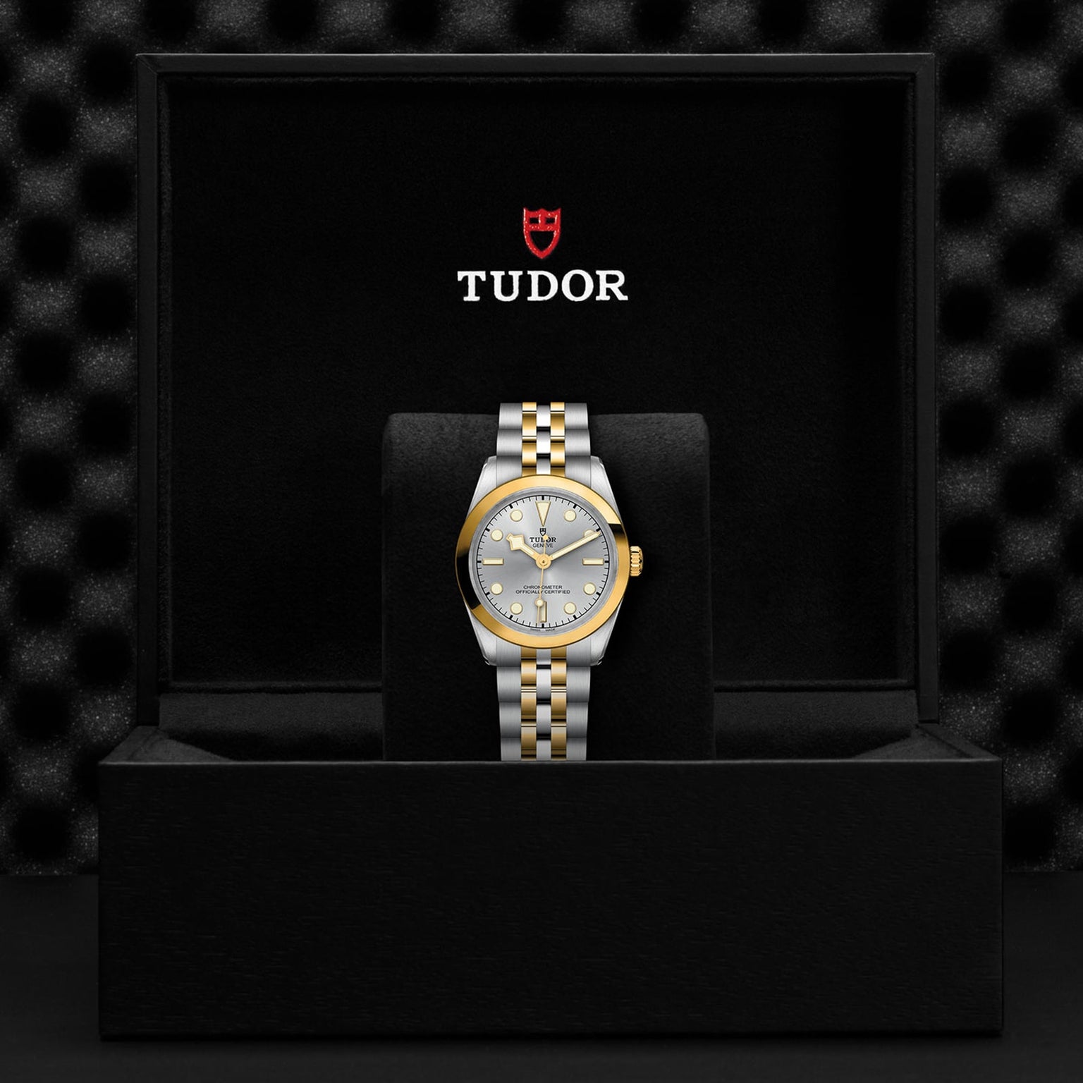 A TUDOR Black Bay One 31 S&G wristwatch with a two-tone metal band and gold bezel is displayed upright in an open black presentation box with the TUDOR logo, highlighting the timeless elegance of TUDOR watches.
