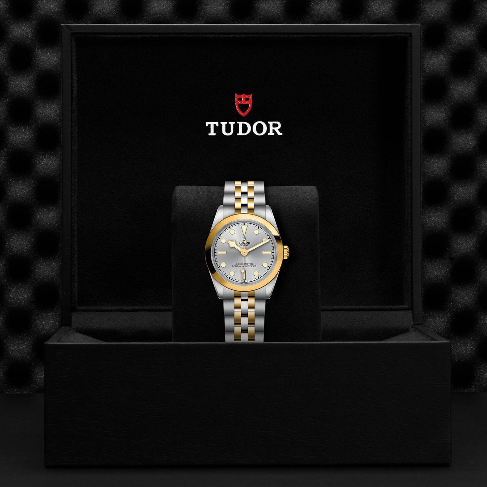 A TUDOR Black Bay One 31 S&G wristwatch with a two-tone metal band and gold bezel is displayed upright in an open black presentation box with the TUDOR logo, highlighting the timeless elegance of TUDOR watches.