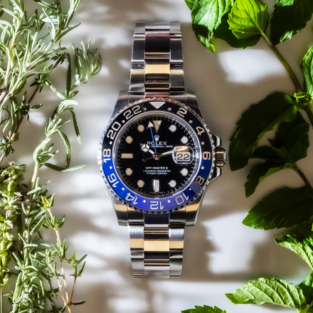 Silver watch with a blue bezel on a white surface with green leaves