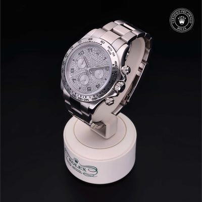 Rolex Certified Pre-owned Daytona M116509-0025 front on black background