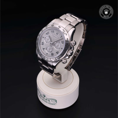 Rolex Certified Pre-owned Daytona M116509-0013 front on black background