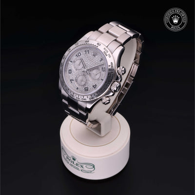 Rolex Certified Pre-owned Daytona M116509-0025 front on black background
