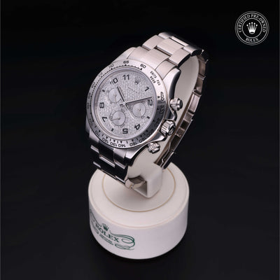Rolex Certified Pre-owned Daytona M116509-0025 front on black background