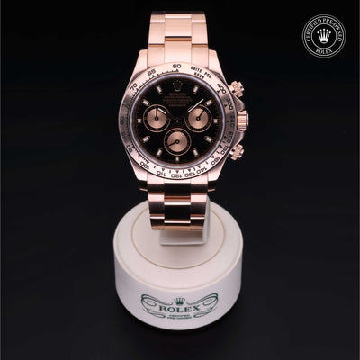 Rolex Certified Pre-owned Daytona M116505-0002 front on black background