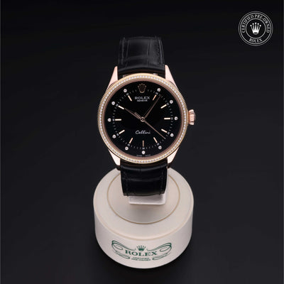 Rolex CPO Cellini M50605RBR front on white background