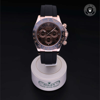 Rolex Certified Pre-owned Daytona M116515LN-0015 front on black background