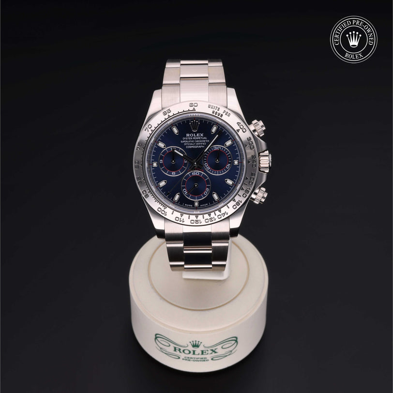 Rolex CPO Daytona M116509 front on white background