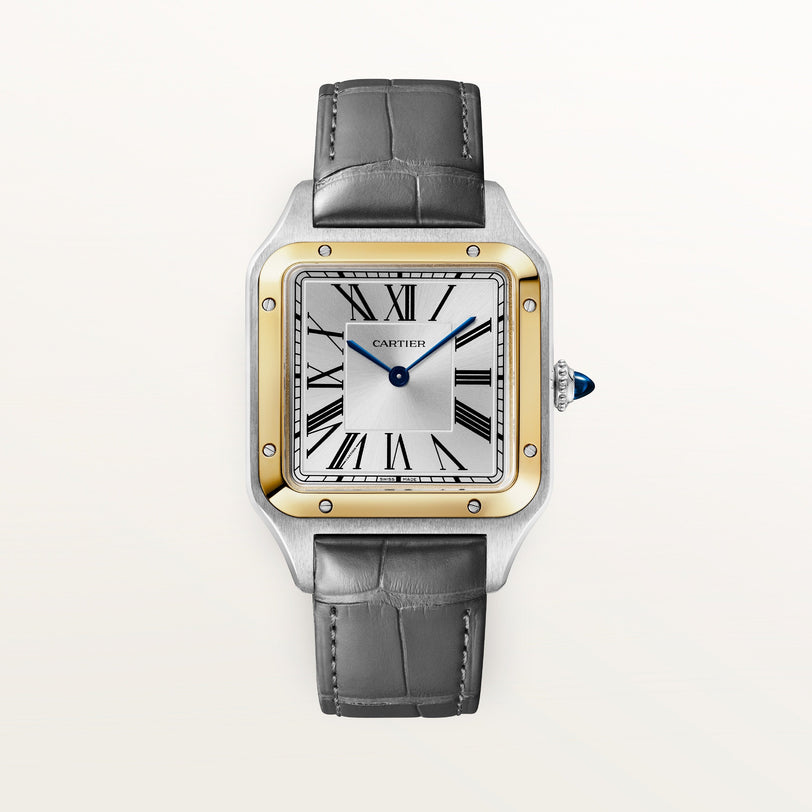 Cartier Santos-dumont Large Model W2SA0046 front on white background