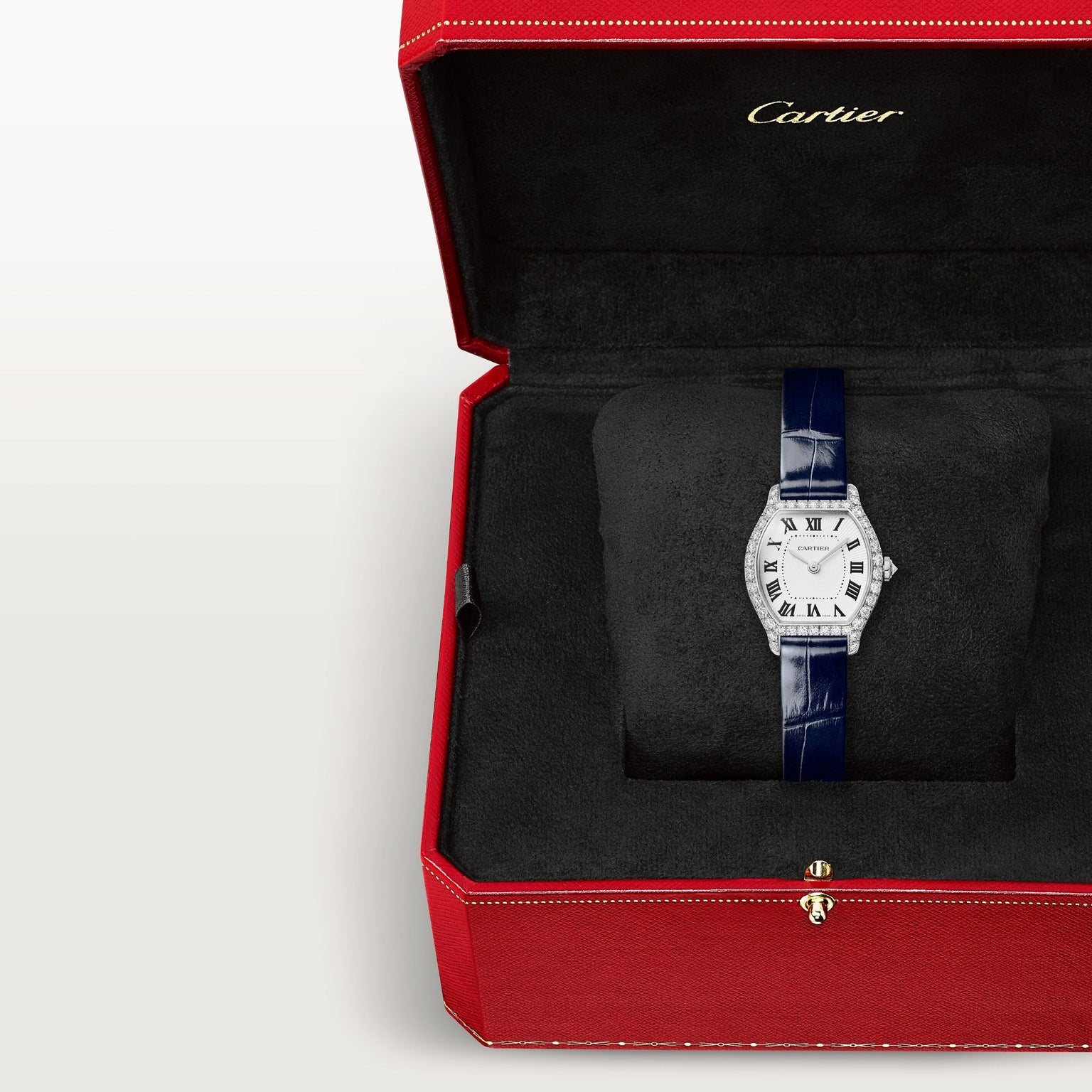 Cartier Tortue Mini Model WJTO0013 view 6