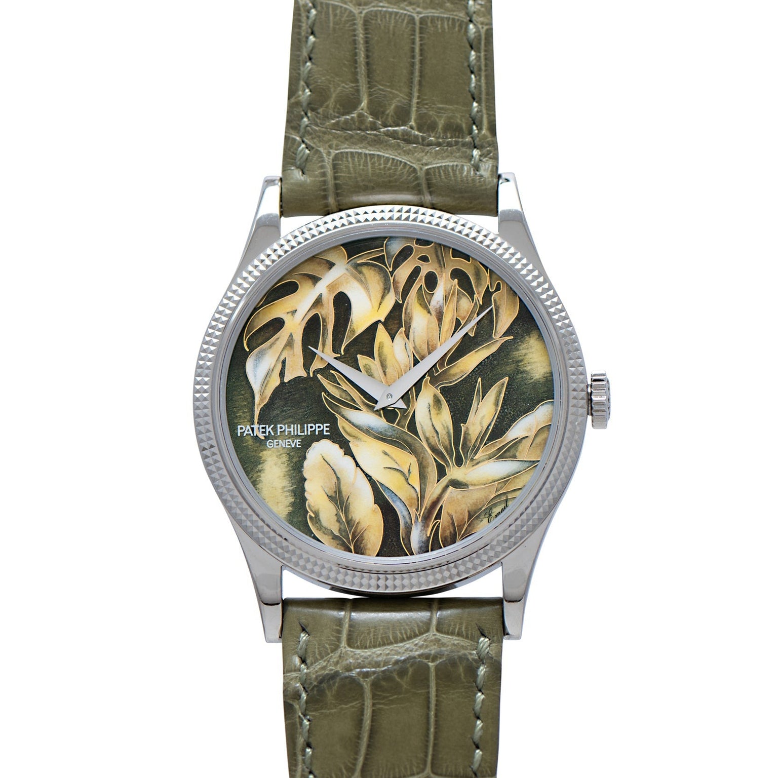 The Patek Philippe Calatrava Cloisonné Tropical Leaves II is a silver watch with a green leather strap and a leafy plant design on its face.