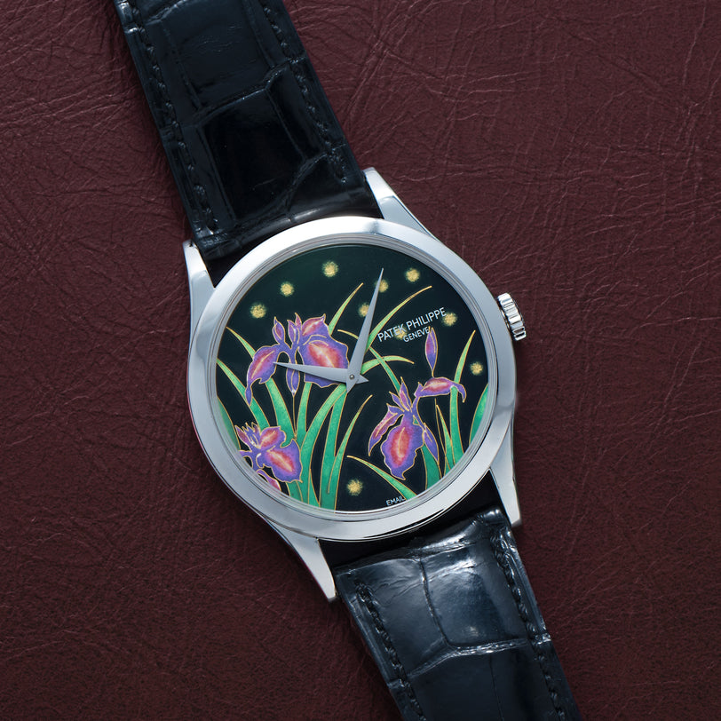 The Patek Philippe Calatrava Cloisonné Iris & Night Fireflies silver watch with a black leather strap and a vibrant floral dial is displayed on a maroon surface.