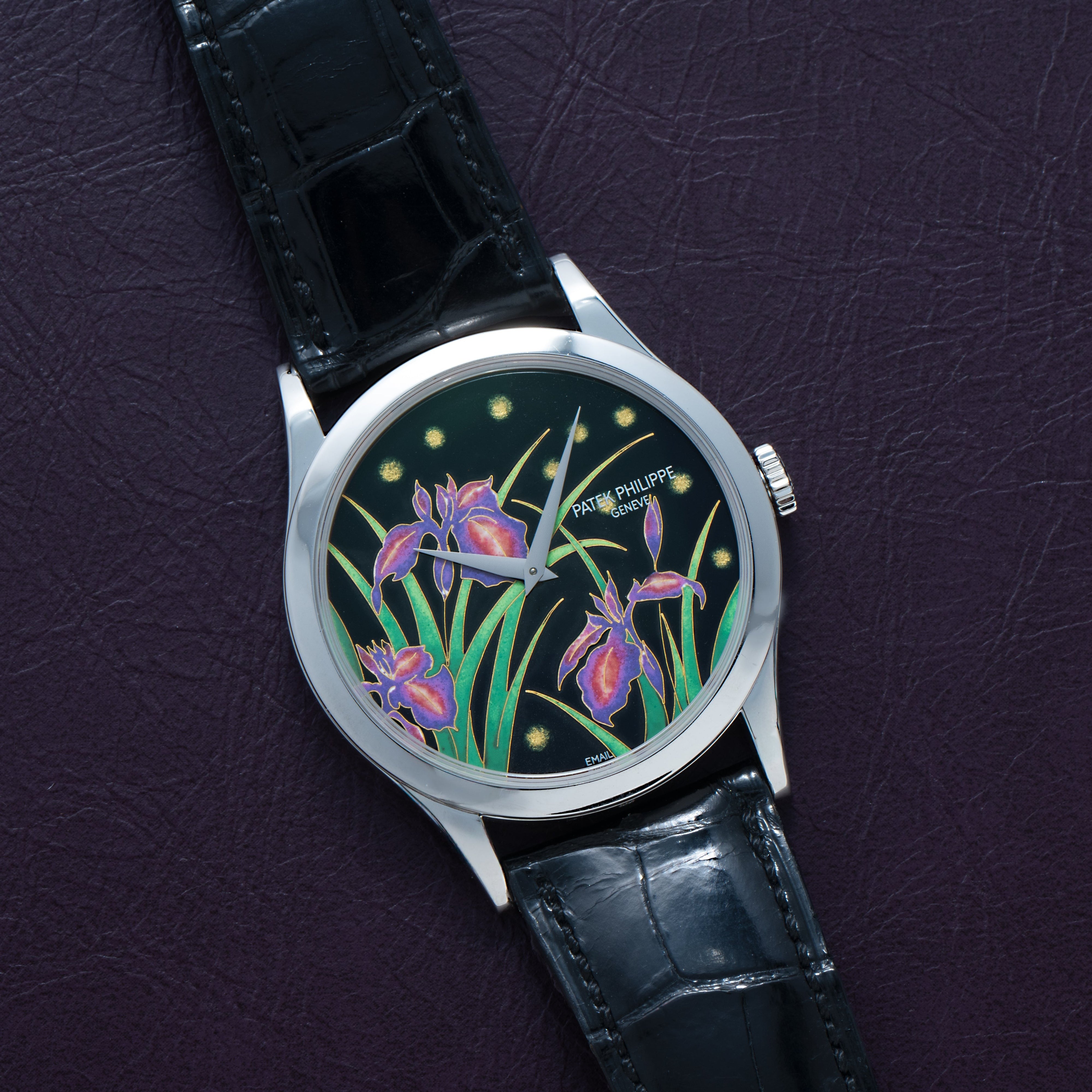 The Patek Philippe Calatrava Cloisonné Iris & Night Fireflies watch features a floral iris dial and black leather strap, displayed on a dark purple textured surface.