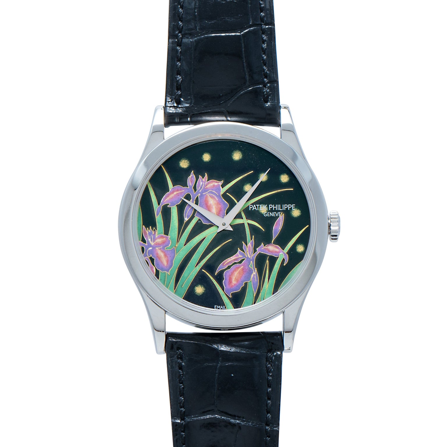The Patek Philippe Calatrava Cloisonné Iris & Night Fireflies is a silver watch with a black leather strap and a dial adorned with purple irises and green leaves on a dark background.
