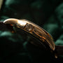 Patek Philippe World Time Cloisonné