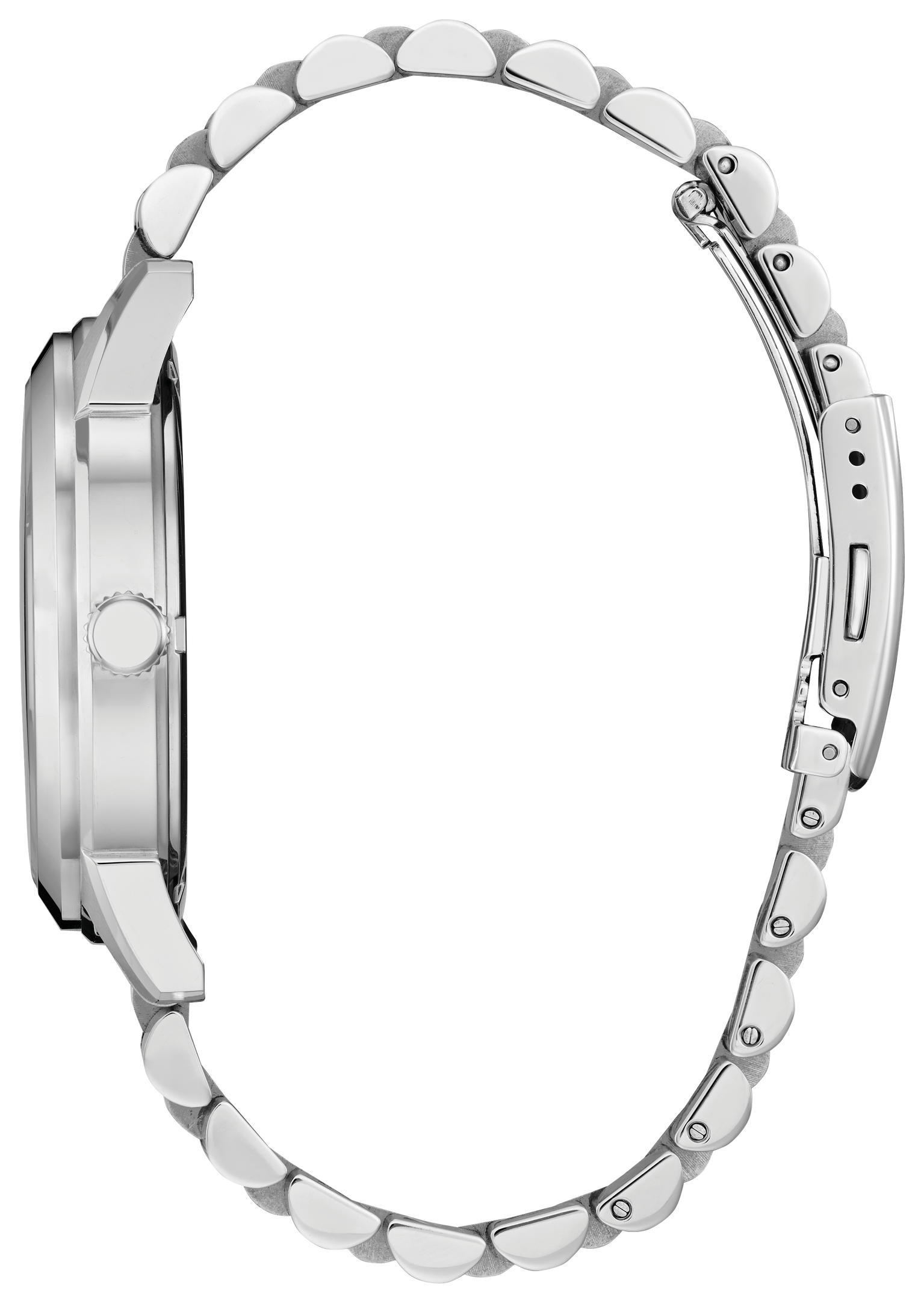 Citizen Rolan Steel 41 mm Eco Drive