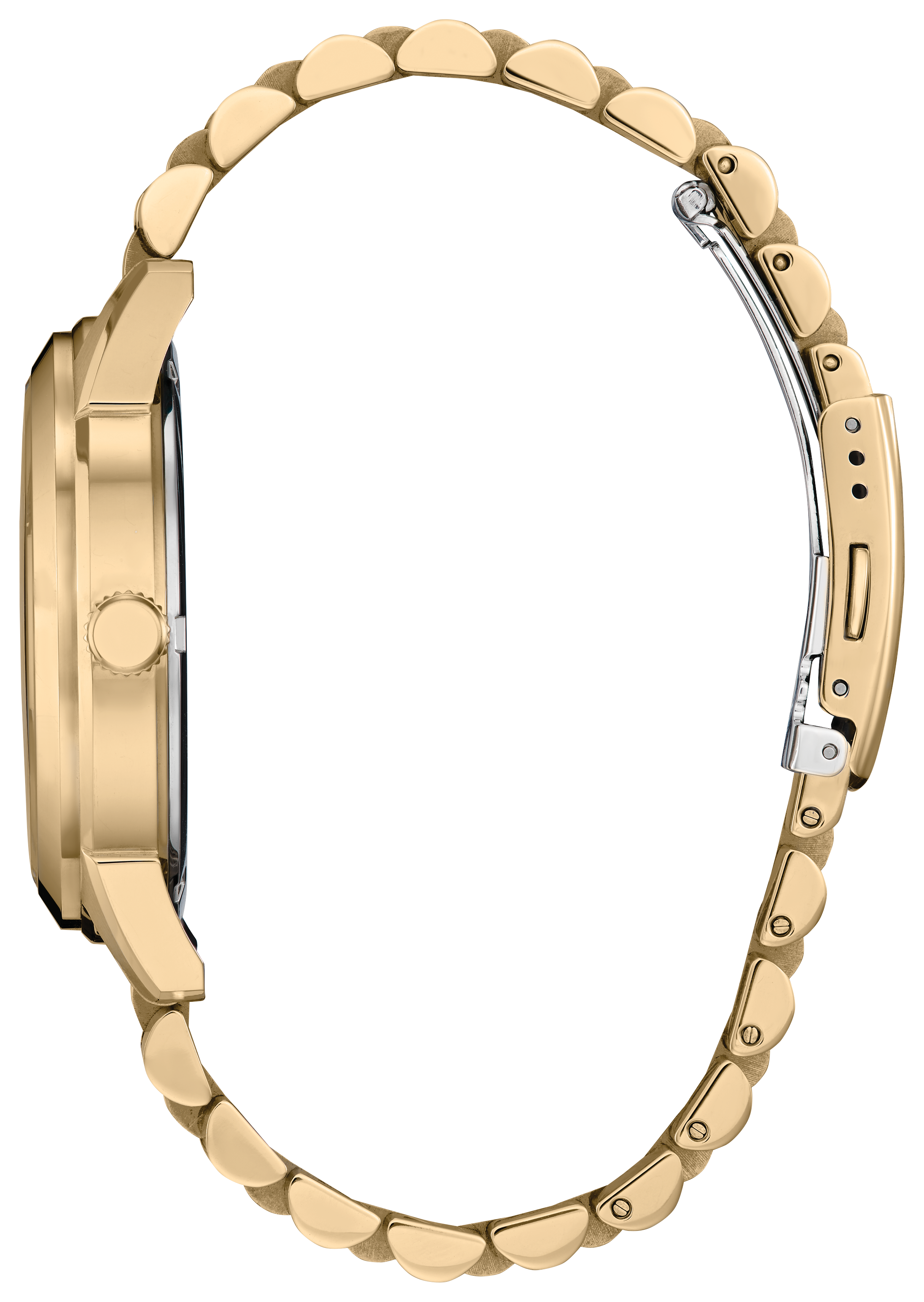 Citizen Rolan Steel 41 mm Eco Drive