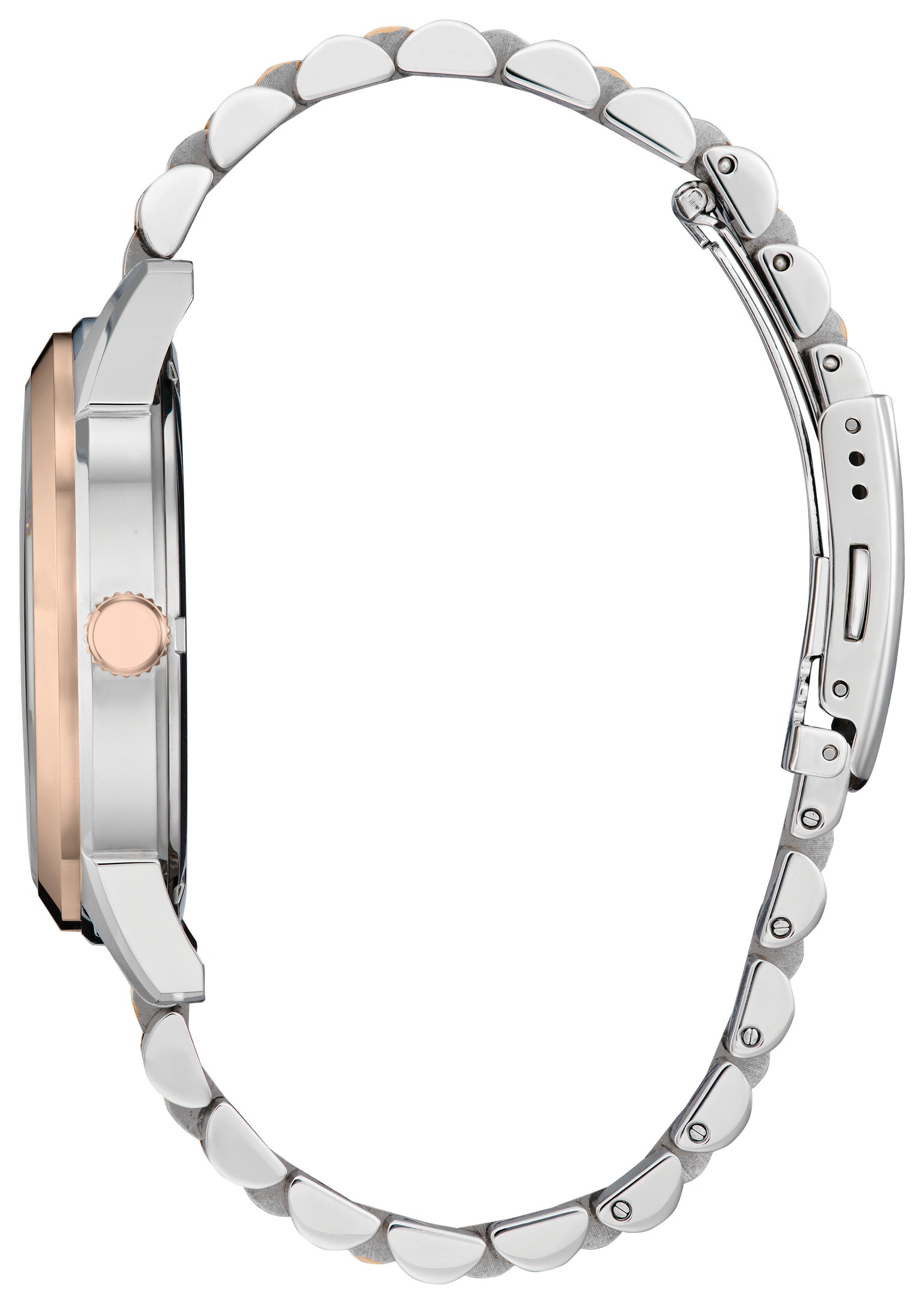 Citizen Rolan Steel 41 mm Eco Drive