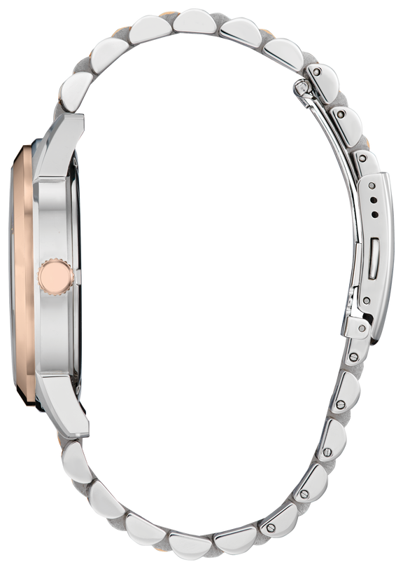 Citizen Rolan Steel 41 mm Eco Drive