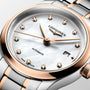 Master | 30mm, Stainless Steel and Rose Gold 18K