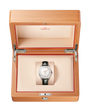 Constellation Observatory | 39mm, Leather Strap, Men's Watch