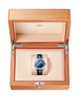 Constellation Observatory | 39mm, Leather Strap, Men's Watch